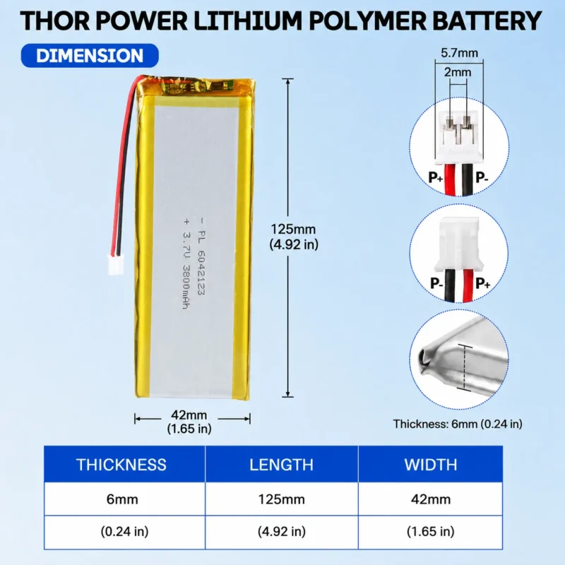 THOR 6042123 3.7V 3800mAh LiPo battery dimension drawing showing T×W×L = 6.0 × 42 × 125 mm (with PCM) and 2-pin connector polarity